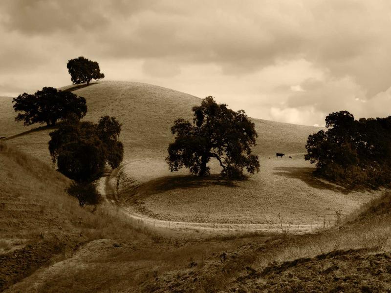 sudoku xy-wing screenshot 1